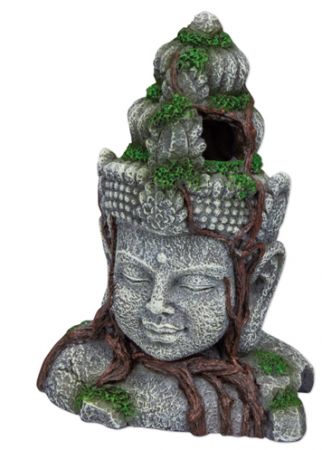 HOBBY Vishnu